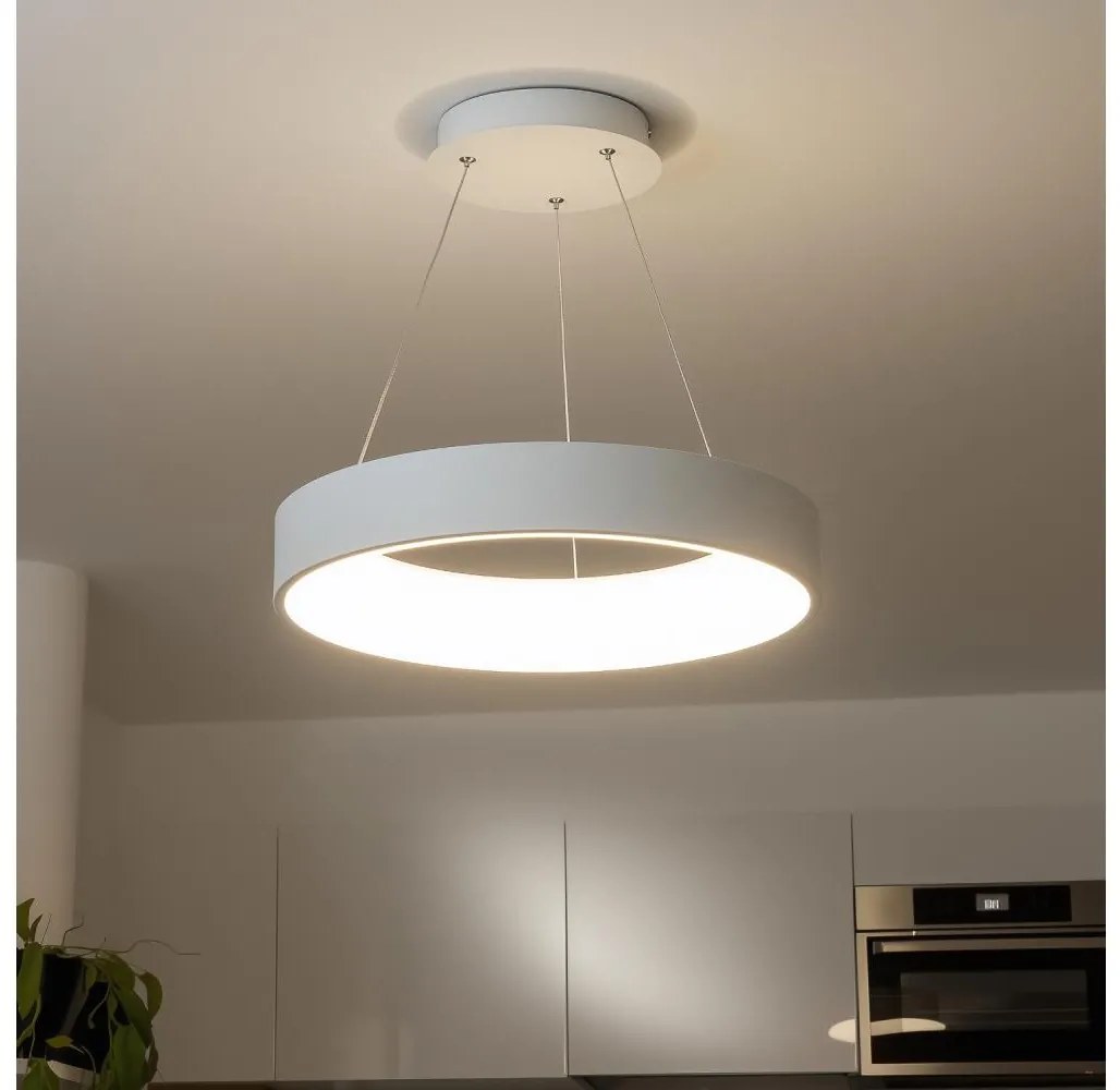 Brilagi Brilagi - LED Stmívatelný lustr na lanku FALCON LED/80W/230V 3000-6500K + DO BG0364