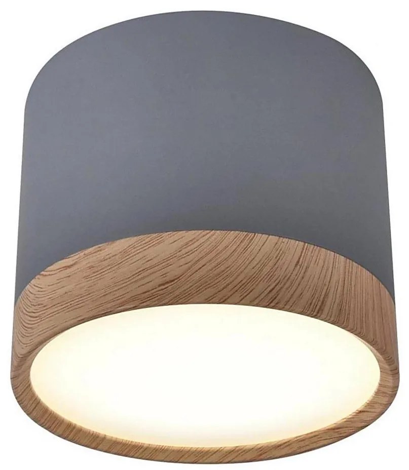 Candellux LED Stropní svítidlo TUBA LED/9W/230V CA0398