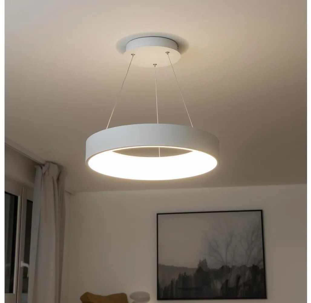 Brilagi Brilagi - LED Stmívatelný lustr na lanku LED/40W/230V 3000-6500K bílá + DO BG0266