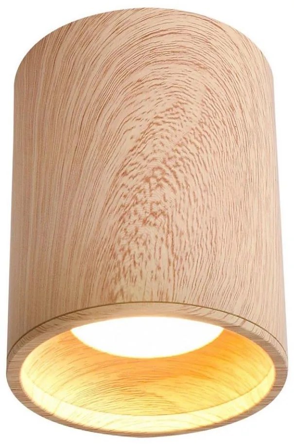 Candellux Stropní svítidlo TUBA GU10/15W/230V CA0404