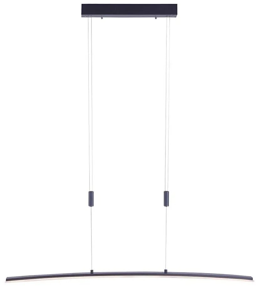 Paul Neuhaus Paul Neuhaus 2530-13 - LED Stmívatelný lustr na lanku JANINA LED/27W/230V W2207