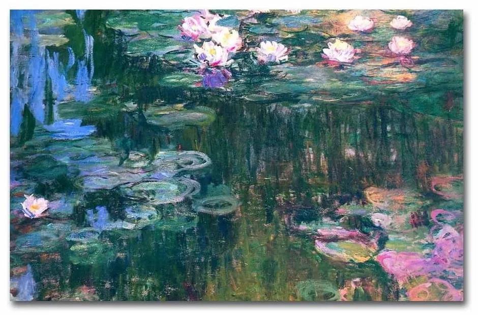 Nástěnná reprodukce na plátně Claude Monet, 45 x 70 cm