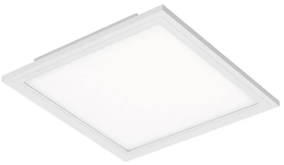 Briloner Briloner 7191-016 - LED Stropní svítidlo SIMPLE LED/12W/230V BL0913
