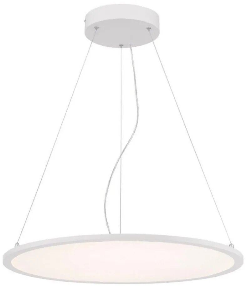 Westinghouse Westinghouse 65775 - LED Stmívatelný lustr na lanku ATLER LED/40W/230V 60 cm P5519