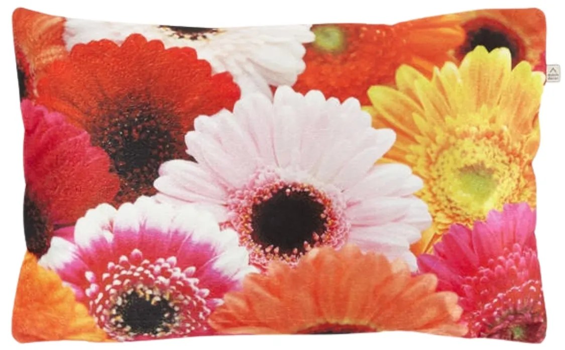 Dekoratív párnahuzat SAMARA GERBERA 30x50 cm, színes