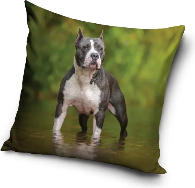 Kutyás Amstaff párnahuzat 40x40 cm