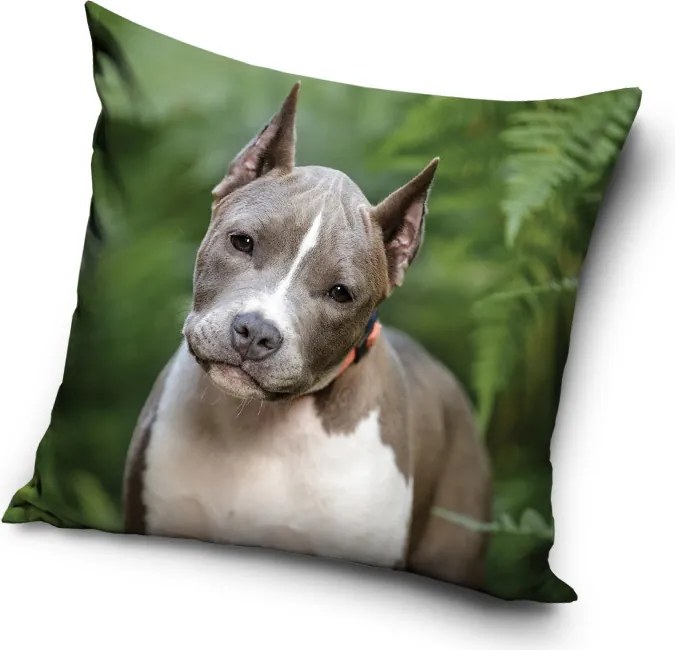 Kutyás Pit Bull Terrier párnahuzat 40x40 cm