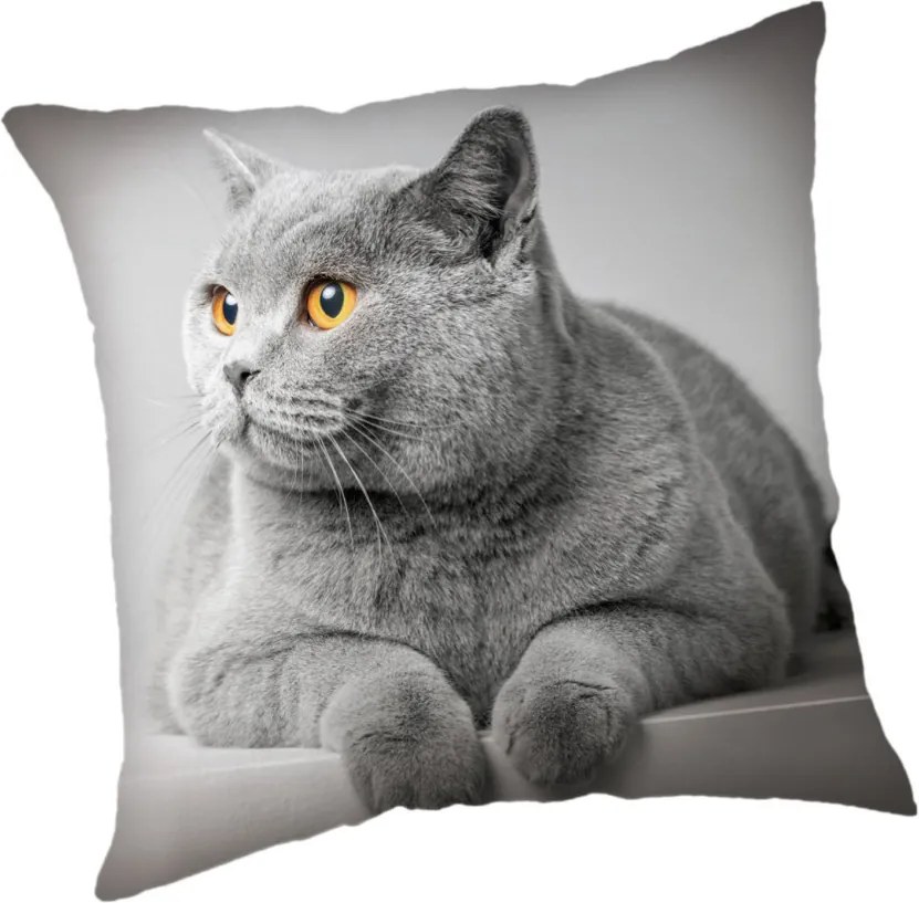 Cicás Grey párnahuzat 45x45 cm