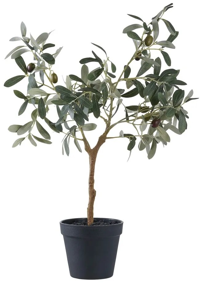 Olajfa műnövény (magasság 61 cm)  House Nordic