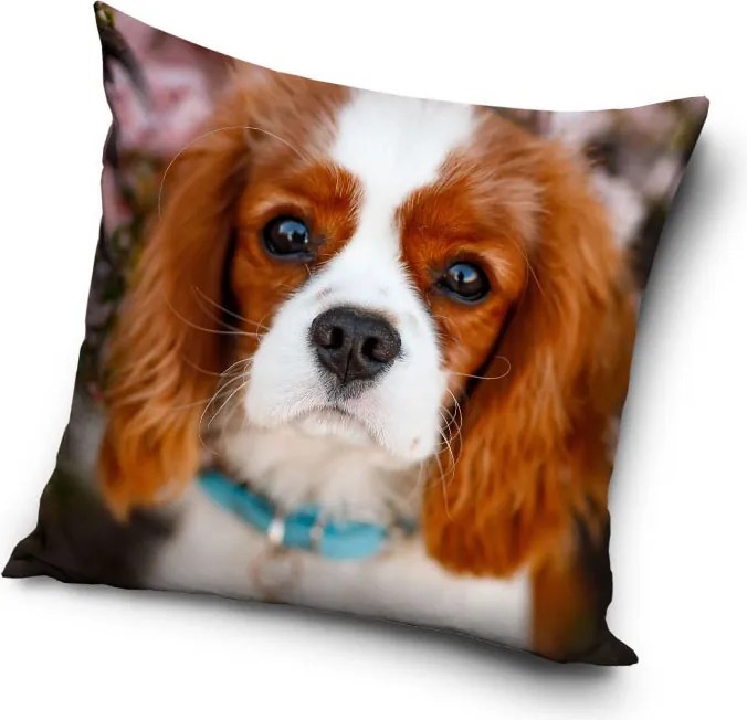 Kutyás Visage párnahuzat 40x40 cm