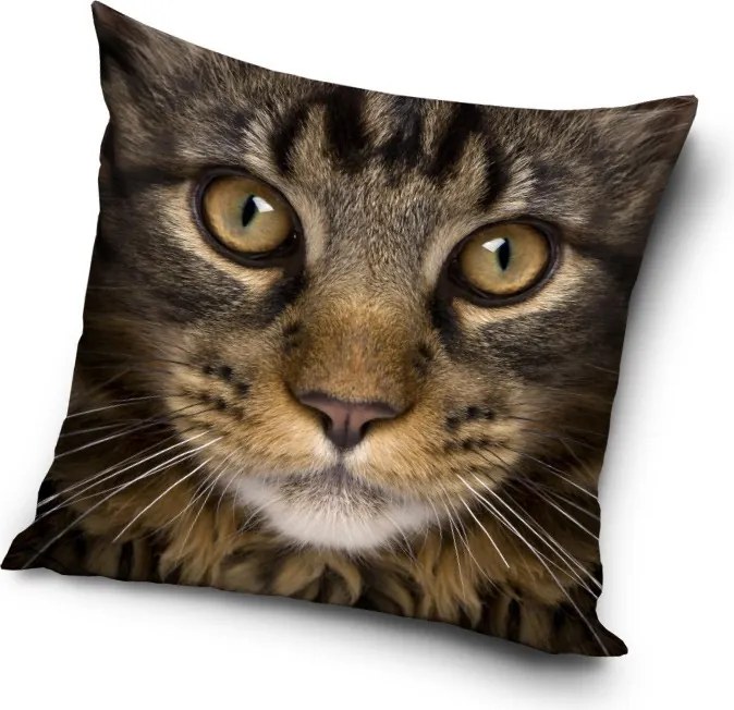 Cicás Golden Gaze párnahuzat 40x40 cm