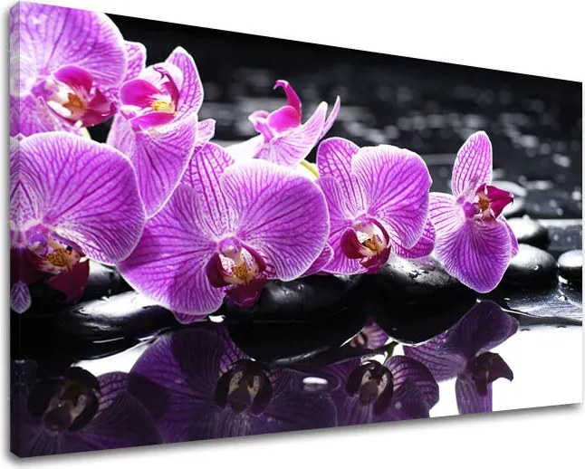 Obraz na stenu FENG SHUI 100x150 cm