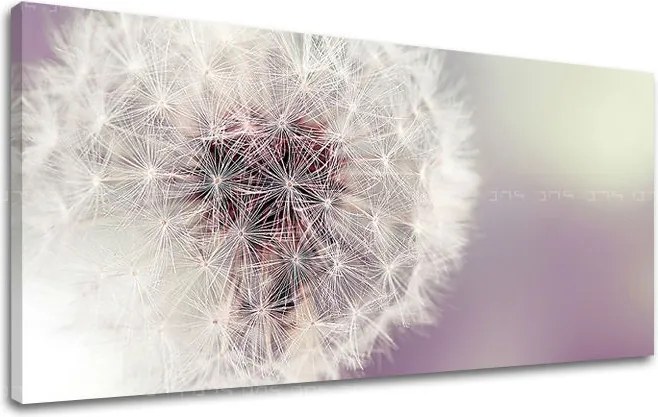 Obraz na stenu PANORÁMA KVETY KV065E13 - 70x140 cm