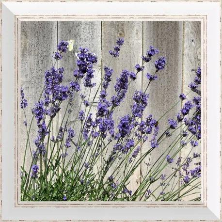 Rámovaný obraz 40x40cm FAP149