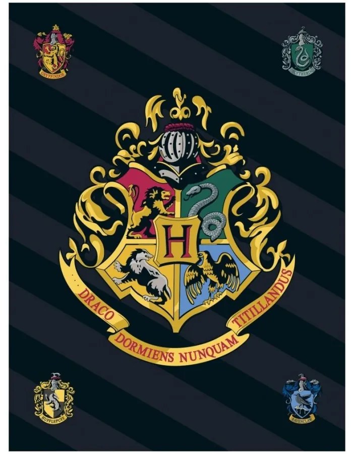Fleecová deka Harry Potter s erbom školy čarodejníckej na Rokforte - Polar Fleece - 100 x 140 cm