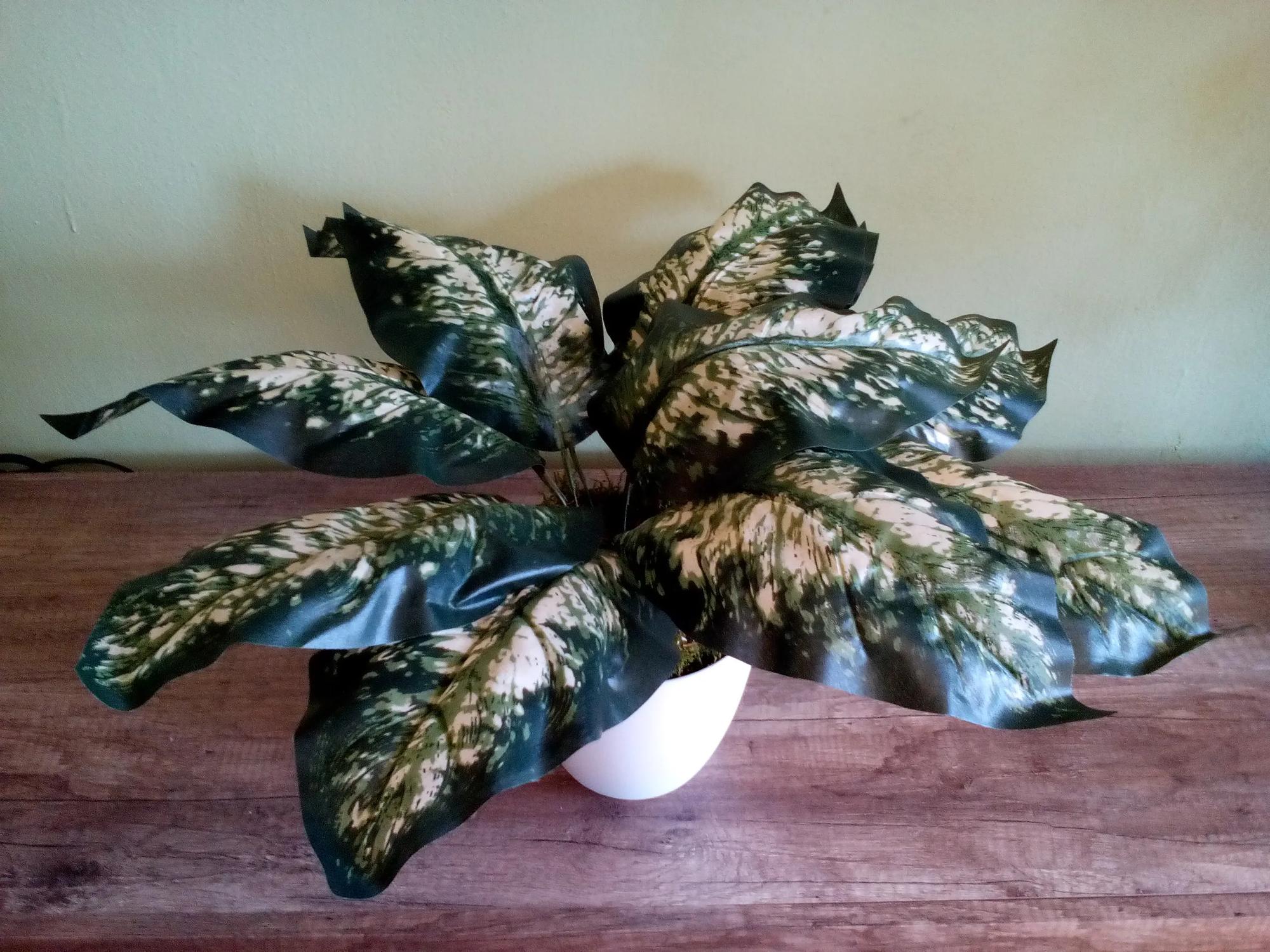 Umelá rastlina- Difenbachia