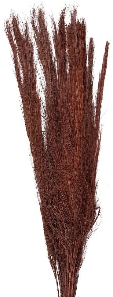 Vínová sušená kytica - 10*5*85 cm