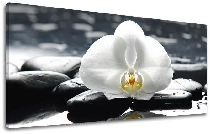 Obraz na stenu PANORÁMA FENG SHUI | rôzne rozmery