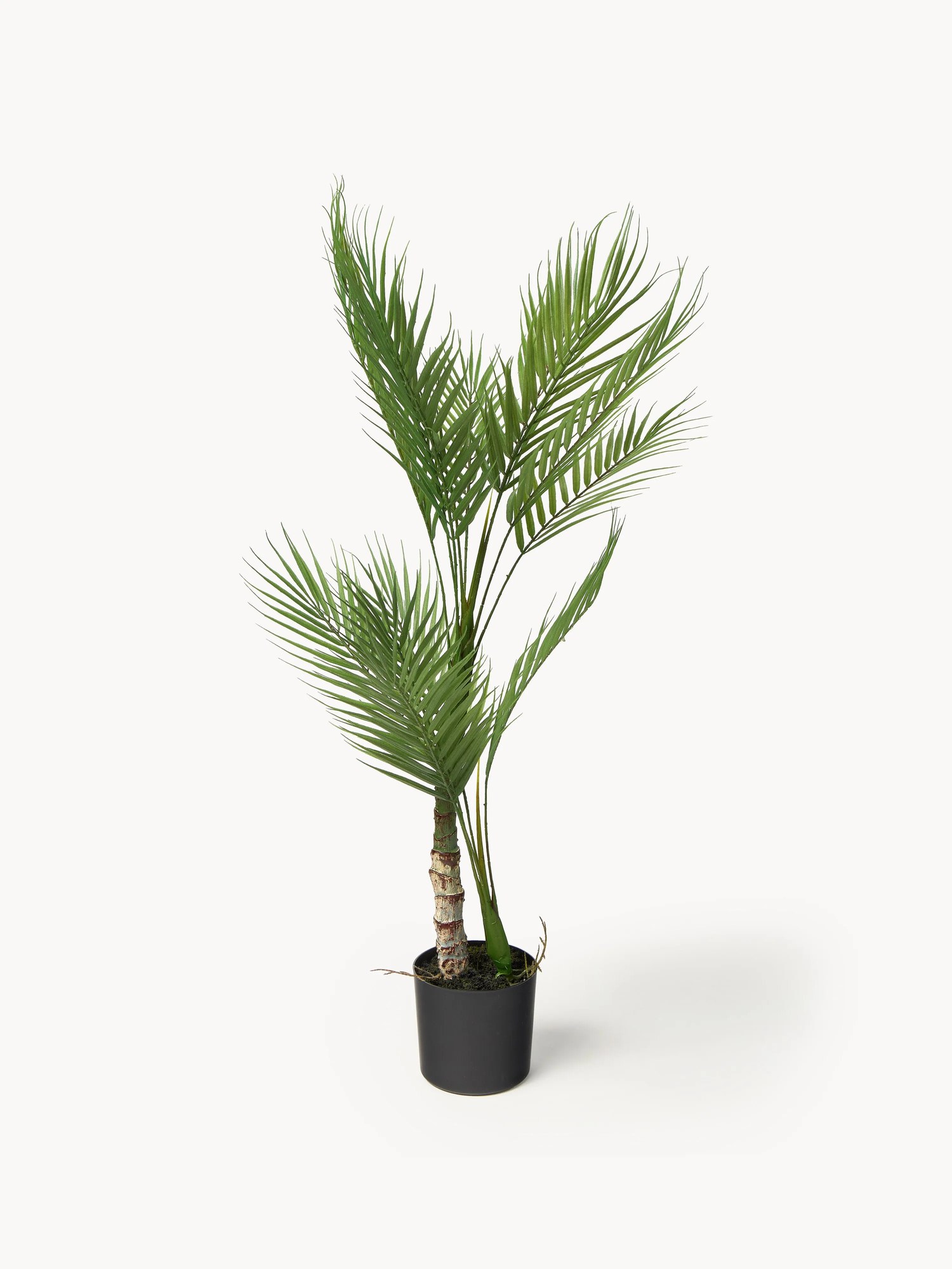 Umelá palma v kvetináči