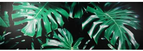 Obraz tlačený na plátne 50x150 PRC1131