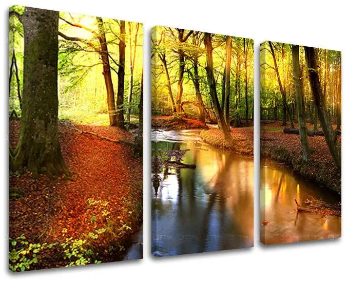 Obraz na stenu STROMY | rôzne rozmery