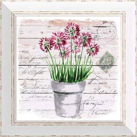 Rámovaný obraz 30x30cm FAP508