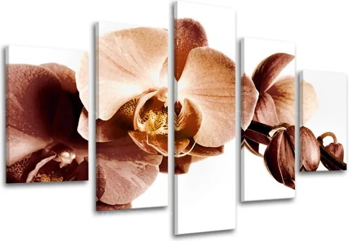 Obraz na stenu 5 dielny KVETY XOBKV110E50 - 100x80 cm