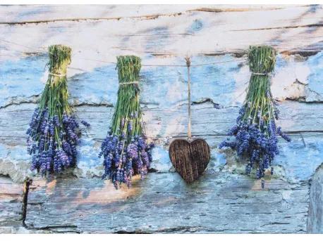 Obraz tlačený na plátne 50x70 PRC837