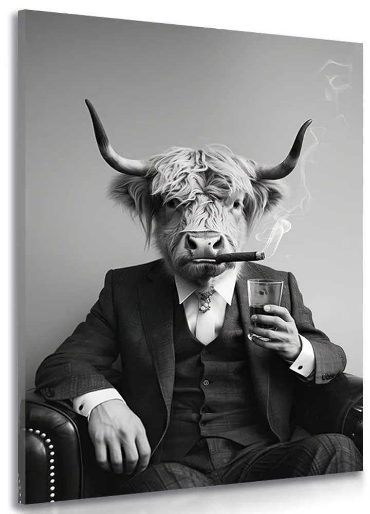 Obraz krava v obleku s cigarou a whiskey