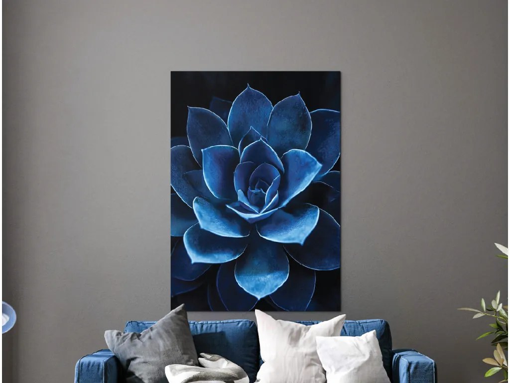drevko | Obraz Modrý sukulent