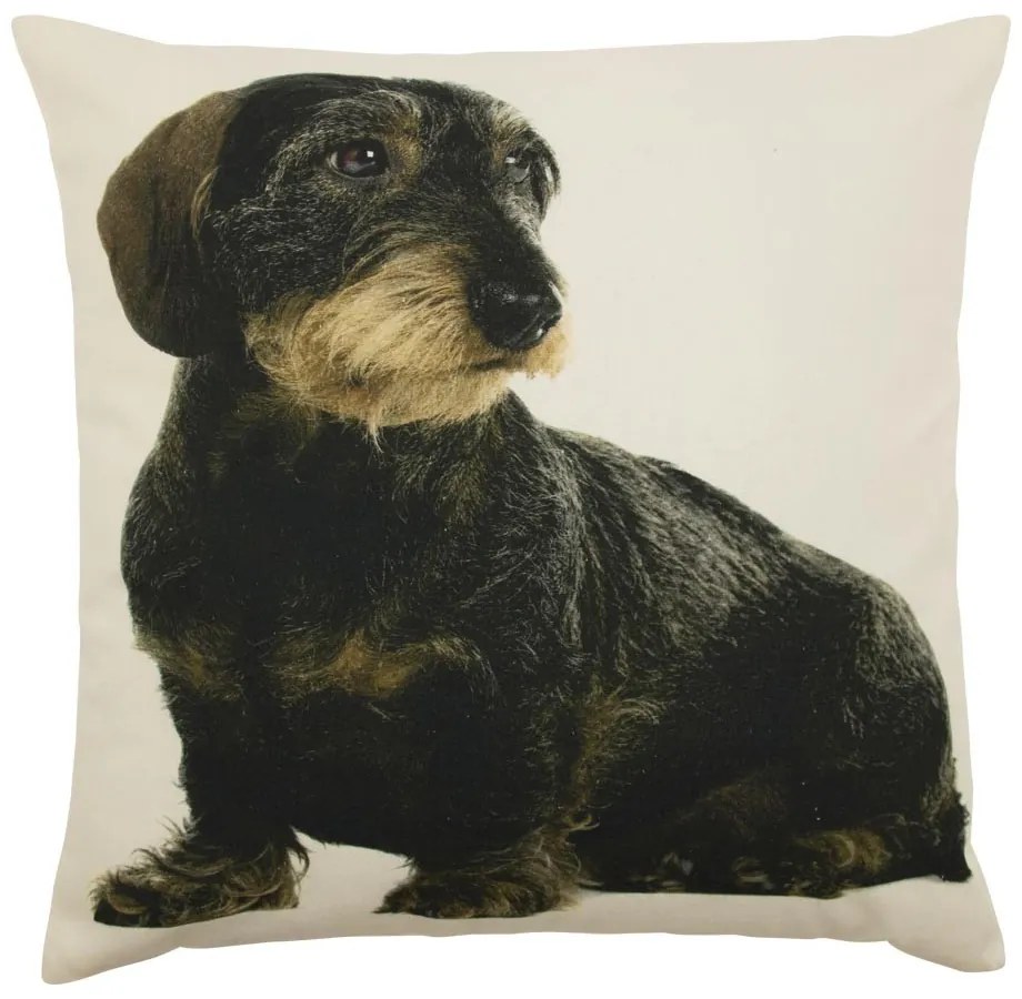 Plátený vankúš s jazvečíkom - 50 * 10 * 50cm