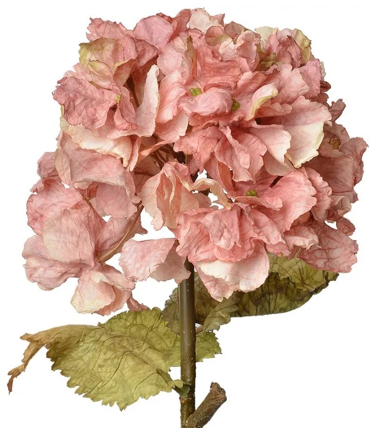Ružová dekoračná kvetina hortenzie Hydrangea - 10*10*55 cm