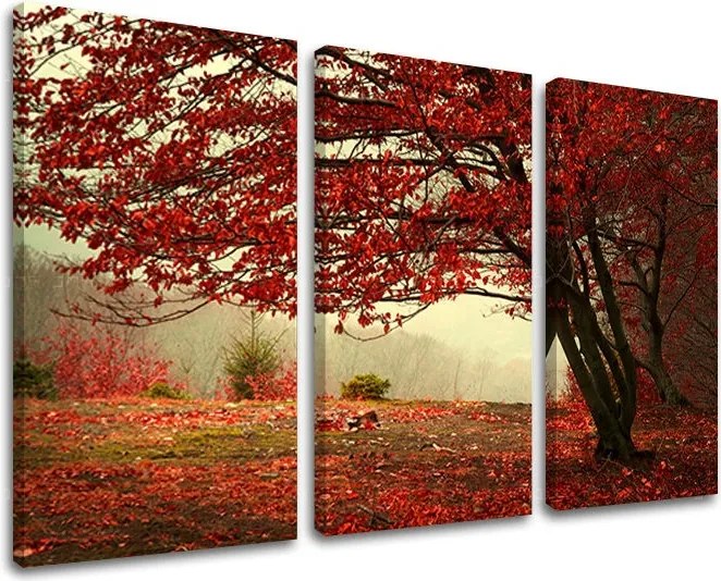 Obraz na stenu 3 dielny STROMY ST017E30