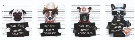 Obraz tlačený na plátne 50x150 PRC1144