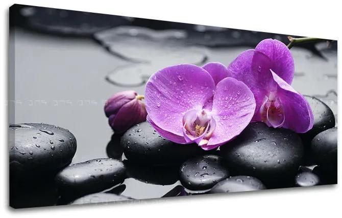 Obraz na stenu PANORÁMA FENG SHUI | rôzne rozmery