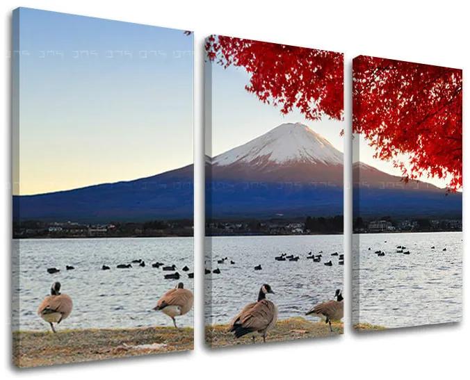 Obraz na stenu KRAJINA | rôzne rozmery