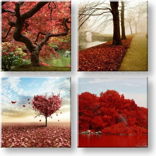 Obraz na stenu Colorful world 4 dielny XOBKOL26E42