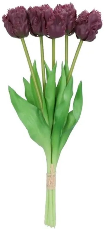 Kytica 5ks fialových realistických tulipánov Tulips Papagayo - 39 cm