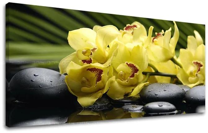 Obraz na stenu PANORÁMA FENG SHUI | rôzne rozmery