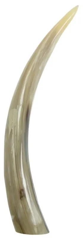 Svetlý dekratívny roh Bizon - 11*11*35 cm Svetlý dekratívny roh Bizon - 11*11*35 cm