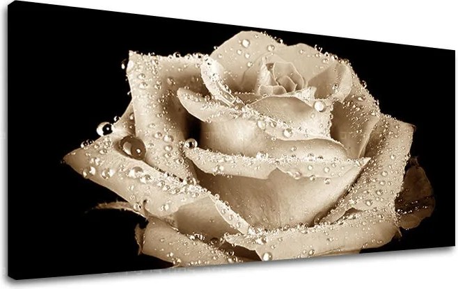 Obraz na stenu Panoráma KVETY XOBKV109E13 - 30x60 cm