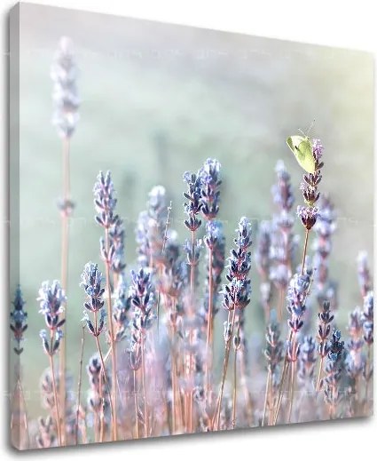 Obraz na stenu KVETY KV077E12 - 30x30 cm