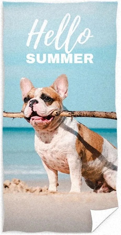 Bavlnená plážová osuška s buldočkom - motív Hello Summer - 100% bavlna, froté s gramážou 300 gr./m² - 70 x 140 cm