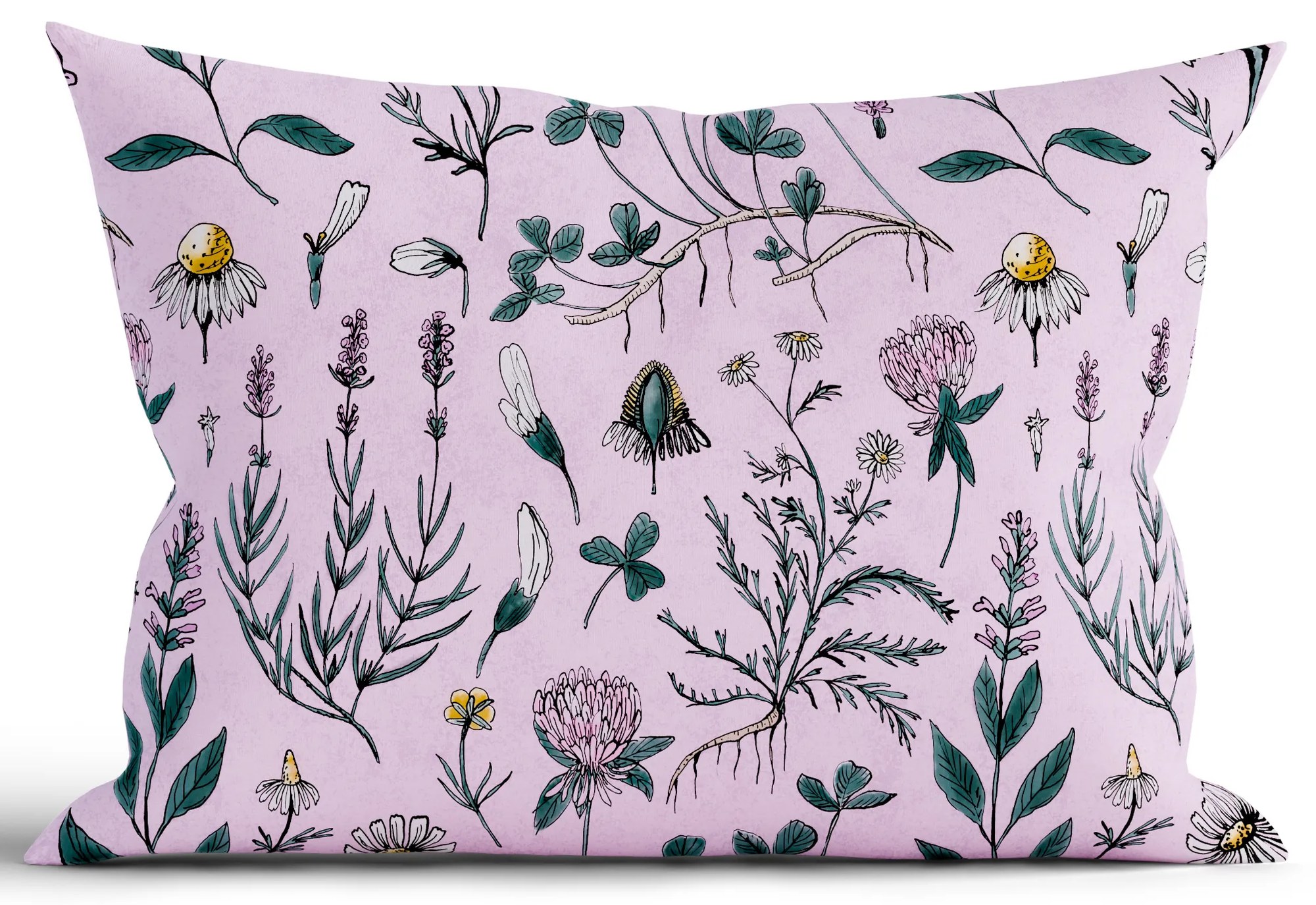 Bavlnená obliečka na vankúš Renforcé 50 × 70 cm - Herbár staroružový