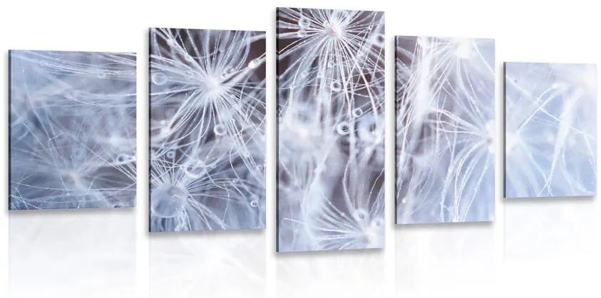 5-dielny obraz makro púpava