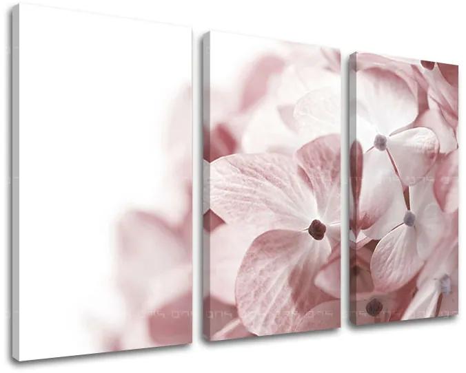 Obraz na stenu KVETY | rôzne rozmery