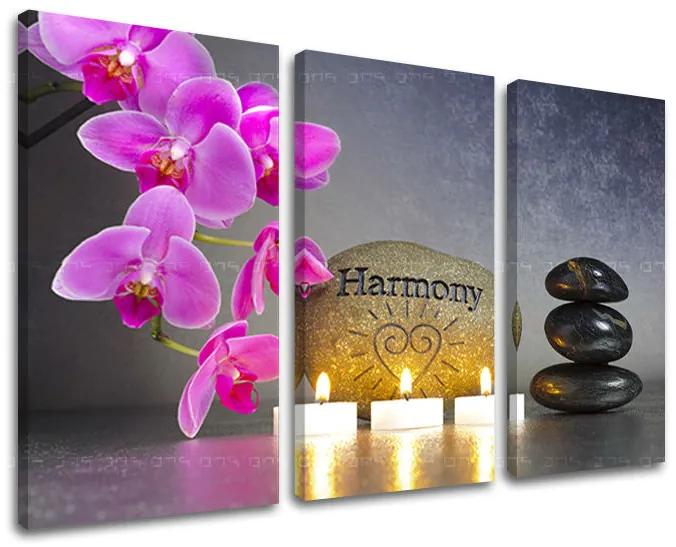 Obraz na stenu FENG SHUI | rôzne rozmery