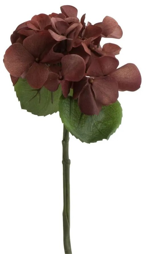 Hnedá dekoračné kvetina Hortenzia - 12 * 32 cm