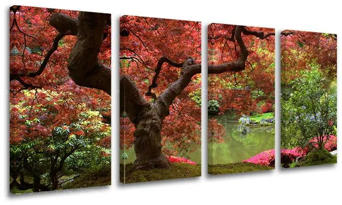 Obraz na stenu STROMY | rôzne rozmery Obraz na stenu STROMY | rôzne rozmery