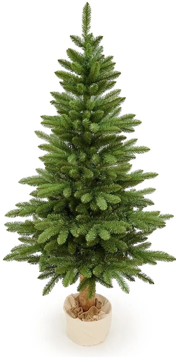 Jedľa Karpatská na pni 220cm